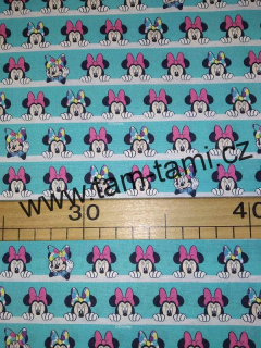 plátno Minnie kuk